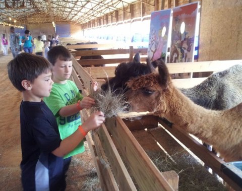 Most People Don’t Know This Alabama Petting Zoo Even Exists