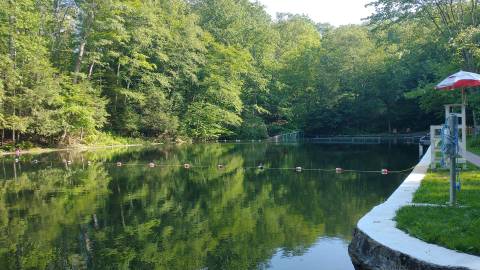 Soak Your Stress Away Near New Jersey's Norvin Green State Forest At Highlands Natural Pool