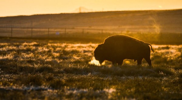 One Of The Largest Wildlife Refuges In The Country Is Right Here In Colorado… And Admission Is Free