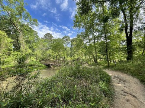With Stream Crossings and Footbridges, The Little-Known Spring Creek Nature Trail Is Unexpectedly Magical