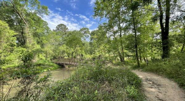 With Stream Crossings and Footbridges, The Little-Known Spring Creek Nature Trail Is Unexpectedly Magical