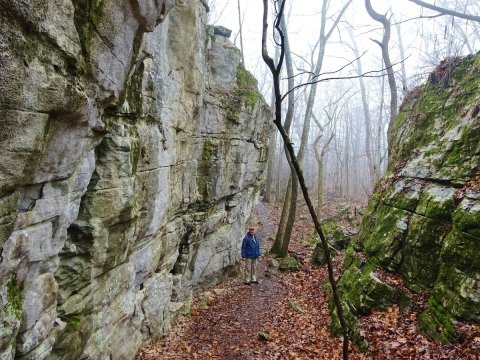 The Unique Rock Formations Along The Stone Cuts Trail In Alabama Are Downright Otherwordly
