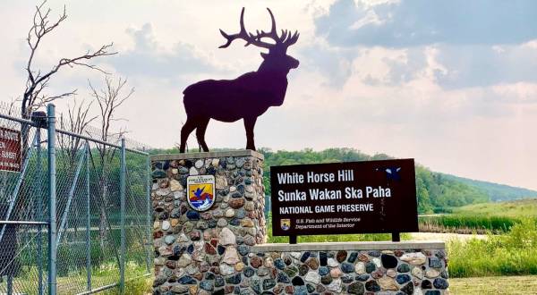 White Horse Hill Game Preserve In North Dakota Is So Hidden Most Locals Don’t Even Know About It