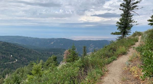 Surround Yourself With Idaho’s Natural Beauty On The 2-Mile Mores Mountain Nature Trail