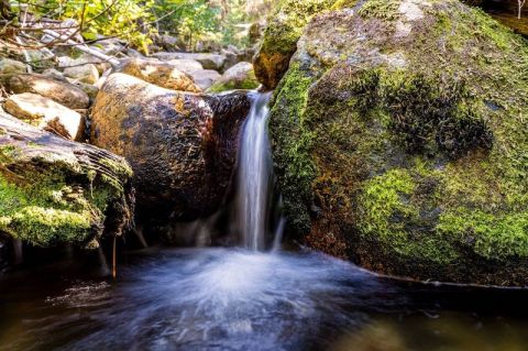 With Stream Crossings and Waterfalls, The Little-Known Hard Creek Trail In Idaho Is Unexpectedly Magical