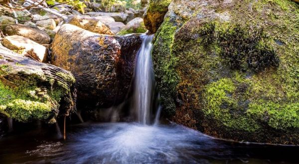 With Stream Crossings and Waterfalls, The Little-Known Hard Creek Trail In Idaho Is Unexpectedly Magical