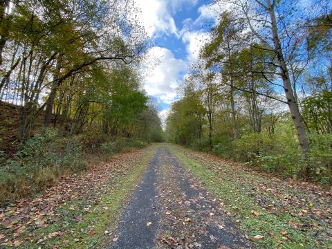 Spend The Day Exploring Parks, Bridges, and Waterfalls On A West Virginia Rail Trail