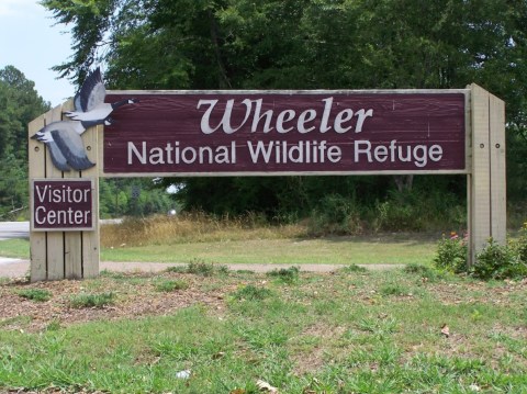 One Of The Largest Wildlife Refuges In The U.S. Is In Alabama