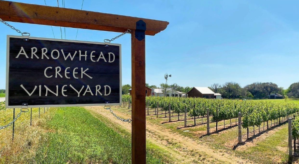There’s Nothing Better Than The Waterfront Arrowhead Creek Vineyard On A Warm Texas Day