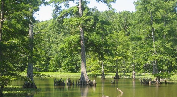 Explore Mississippi’s Delta At This Underrated State Park