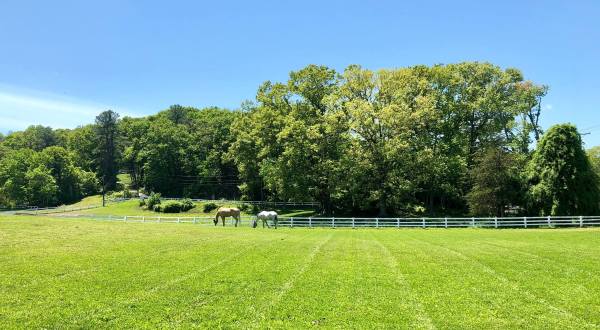 Phoenix Rising Equestrian Center Is An Awesome Horse Farm Hiding In Rhode Island And You’ll Want To Visit