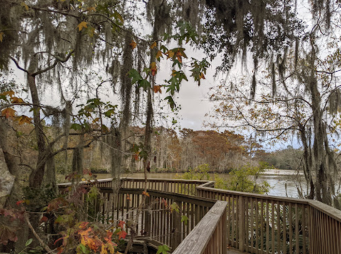 Explore Louisiana’s Cajun Country At This Underrated State Park
