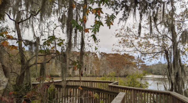 Explore Louisiana’s Cajun Country At This Underrated State Park