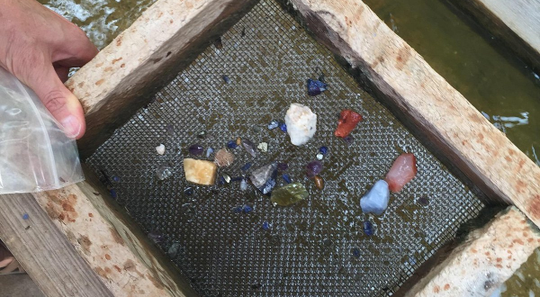 Take Home Real Gems When You Visit The Petrified Forest In Mississippi