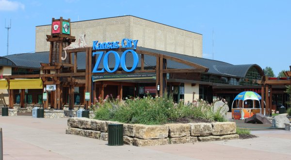 One Of The Largest Zoos In The U.S. Is In Missouri, And It’s Magical
