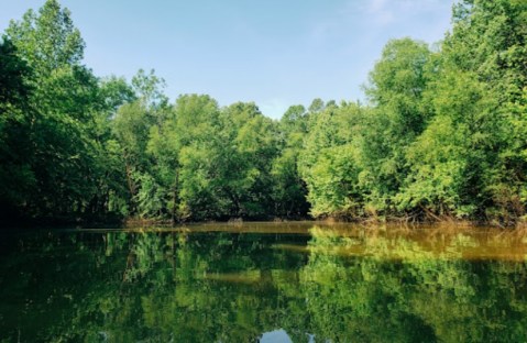 Most People Don’t Know About Old Cove Canoe & Kayak, A Kayak Park Hiding In Missouri