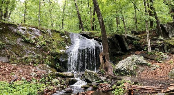 Take This Easy Trail To An Amazing Waterfall In Rhode Island