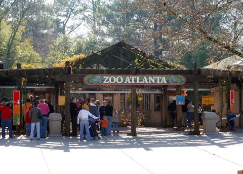 One Of The Largest Zoos In The U.S. Is In Georgia, And It's Magical