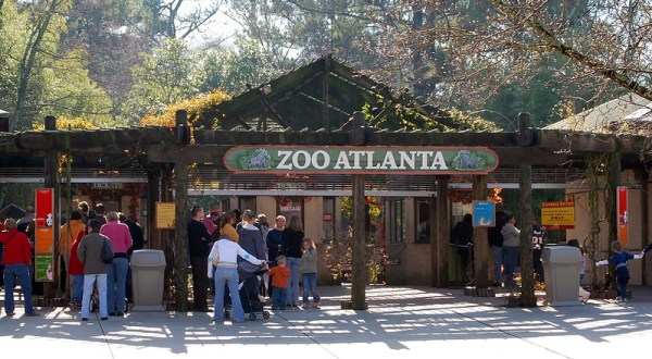 One Of The Largest Zoos In The U.S. Is In Georgia, And It’s Magical