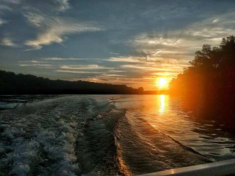 There's Almost Nothing In Life A Day On Tennessee's Boone Lake Can't Cure