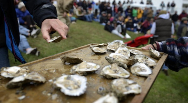 More Than 50,000 People Attend The Yearly Urbanna Oyster Festival In Virginia And It’s Not Hard To See Why