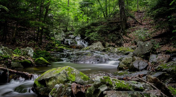 A Trail Full Of Creek Cascade Views In Hacklebarney State Park Will Lead You To A Waterfall Paradise In New Jersey