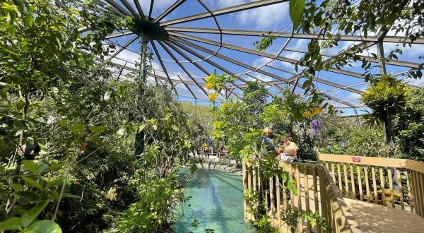 The Largest Butterfly Conservatory In The U.S. Is In Florida, And It’s Magical