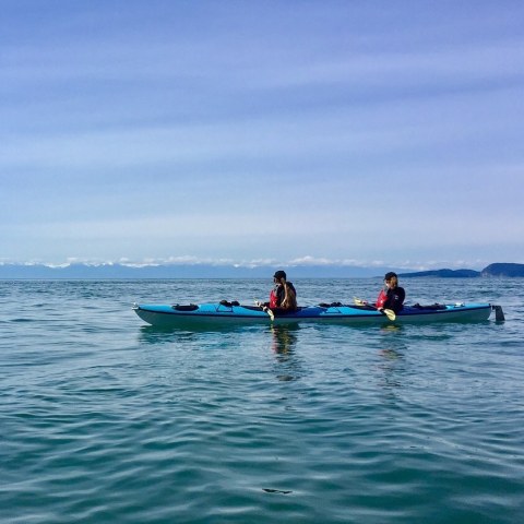 You Can Kayak To Cypress Island For A Unique Washington Adventure