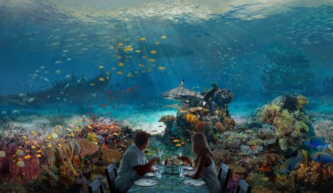 Dine At Hidden Worlds In Florida, An Oceanic-Themed Immersive Experience