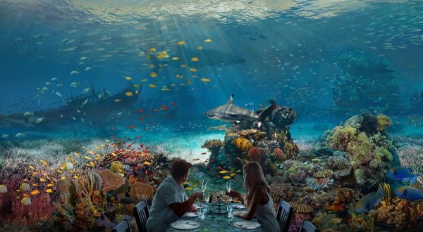Dine At Hidden Worlds In Florida, An Oceanic-Themed Immersive Experience