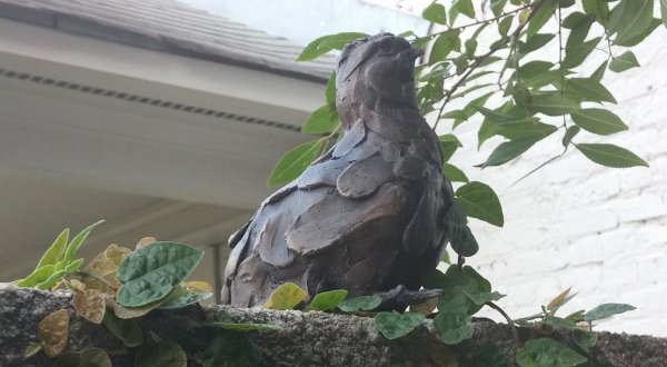 Few People Know There Are Quail Statues Hidden Around Thomasville, Georgia
