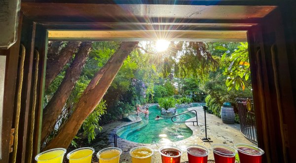 This Adults-Only Pool In Oregon With Its Own Swim-Up Bar Will Make Your Summer Epic