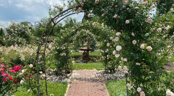 The One-Of-A-Kind Topiary Garden In Maryland Is Absolutely Heaven On Earth
