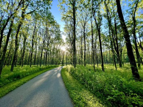Take A Paved Loop Trail Around These Two Indiana Lakes For A Peaceful Adventure