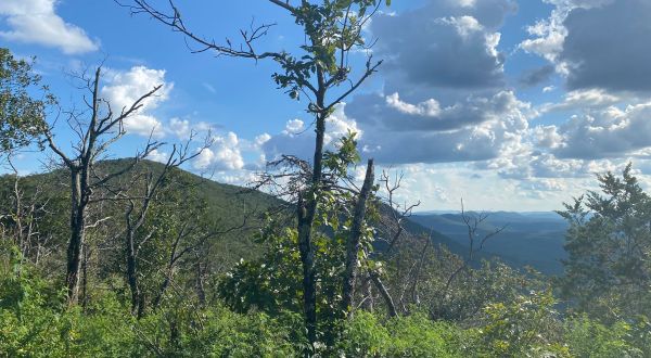 Hike Into The Clouds On The Cheaha Mountain – Alabama Highpoint Trail In Alabama’s Talladega National Forest