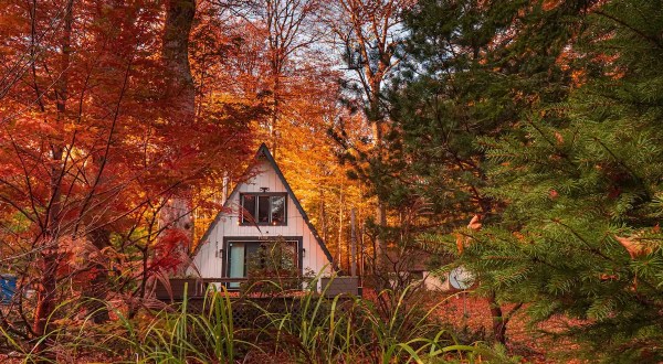 Forget The Resorts, Rent This Charming Waterfront Airbnb In Michigan Instead