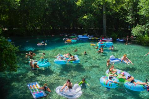 The Clearest Spring In Florida, Ginnie Springs, Is Almost Too Beautiful To Be Real
