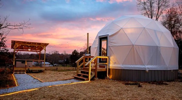 This Geodome Airbnb On An Animal Farm With A Zipline In South Carolina Is One Of The Coolest Places To Spend The Night