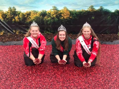 More Than 140,000 People Attend The Yearly Warrens Cranberry Festival In Wisconsin And It's Not Hard To See Why