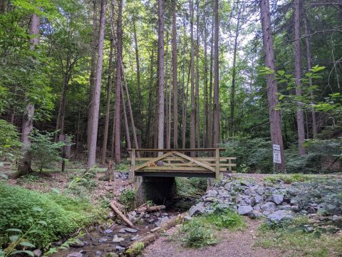 Meander Through A Shady Forest Along The 2.9-Mile Nolde Forest Trail In Pennsylvania For An Unforgettable Outdoor Adventure