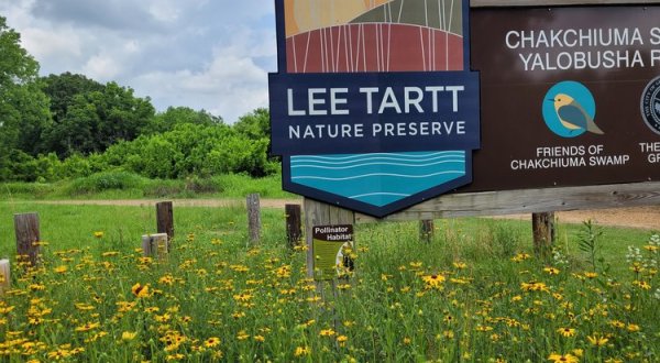 Lee Tartt Nature Preserve In Mississippi Is So Hidden Most Locals Don’t Even Know About It