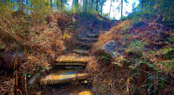 Climb A Natural Rock Staircase Into The Clouds On The Longleaf Vista Nature Trail In Louisiana’s Kisatchie National Forest