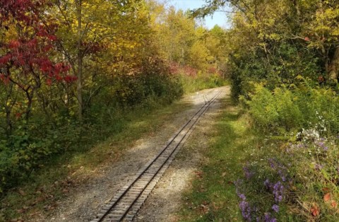 Lester Rail Trail, Just South Of Cleveland, Is Downright Picture Perfect