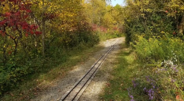 Lester Rail Trail, Just South Of Cleveland, Is Downright Picture Perfect