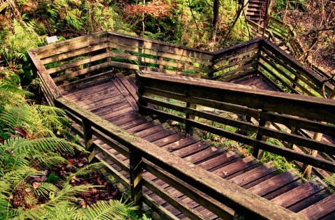 Descend A Winding Wooden Staircase Into A Sinkhole On The Devil's Millhopper Trail In Florida