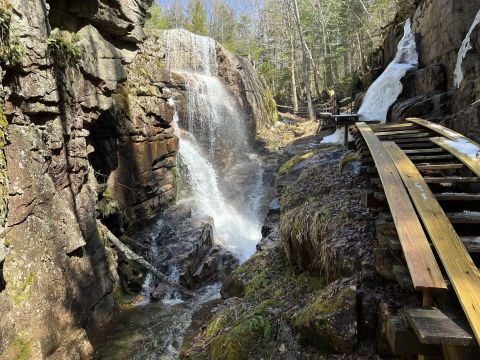 These 6 New Hampshire Forest Trails Will Bring Out Your Adventurous Side
