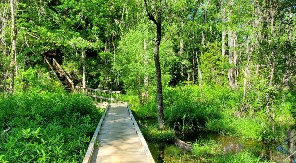 With Footbridges And A Waterfall, The Little-Known Coquina Trail In South Carolina Is Unexpectedly Magical