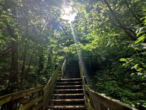 Lover's Leap Overlook Trail In Illinois Leads To One Of The Most Scenic Views In The State