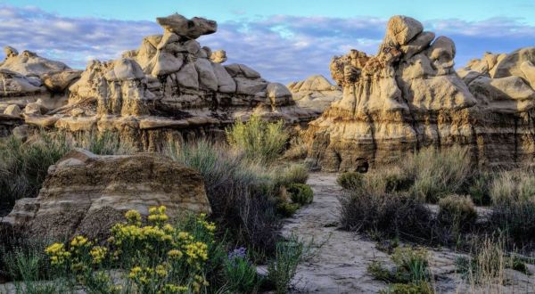 If There Are Only 5 Family Hikes You Ever Take In New Mexico, Follow These Easy Trails