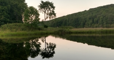The Most Remote Lake In Virginia Is Also The Most Peaceful